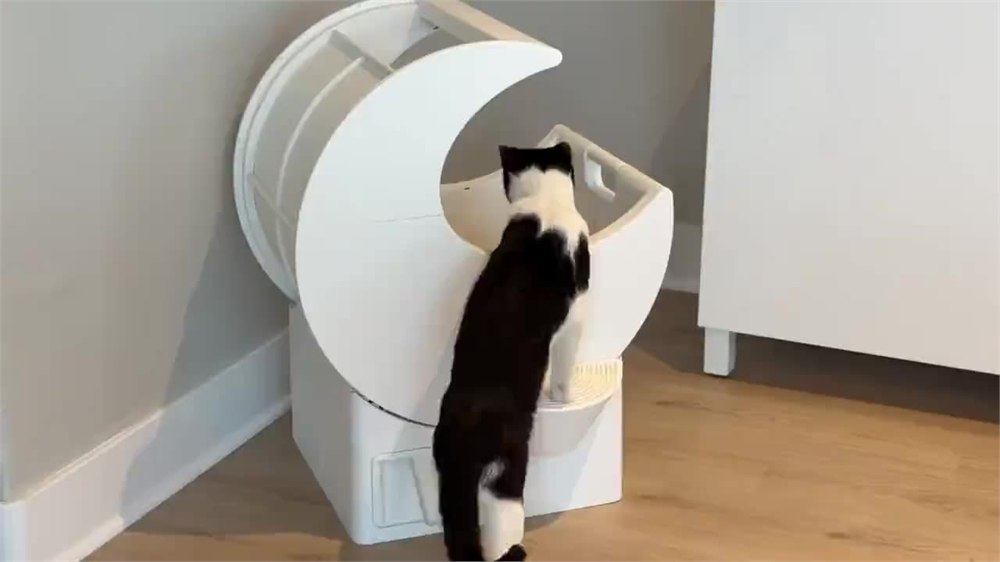 A cat using the MoonBox manual rotating litter box in a home corner