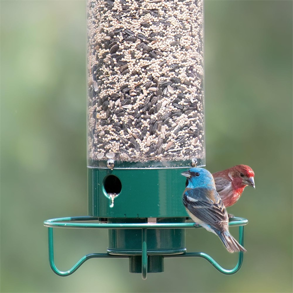 Bird perched near the lower section of the Yankee Flipper bird feeder