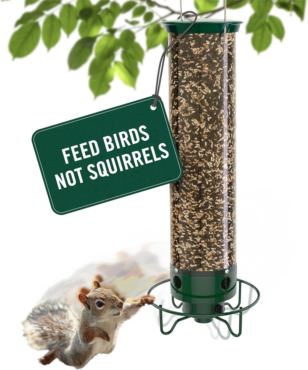 Squirrel trying to reach the squirrel-proof bird feeder
