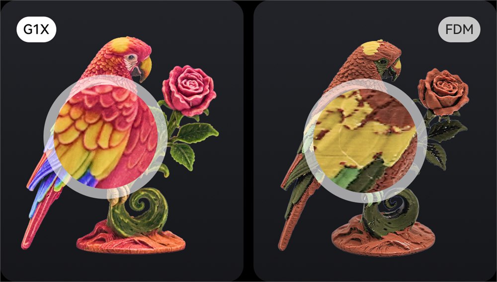 HeyGears G1X full-color output comparison with a printed bird and rose
