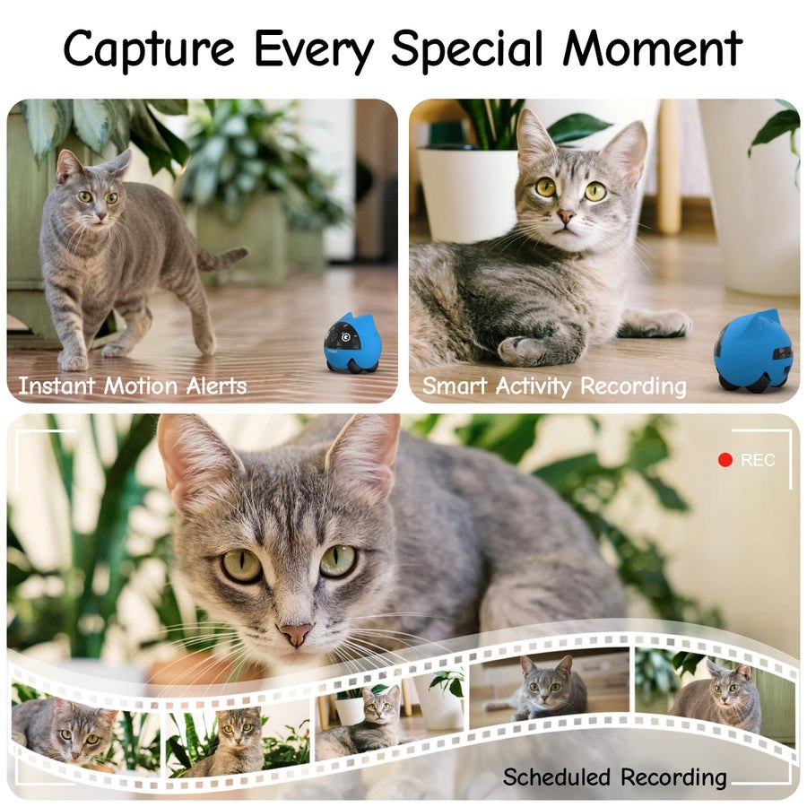 OnlyPetBuddy pet companion robot feature image with mobile play tools
