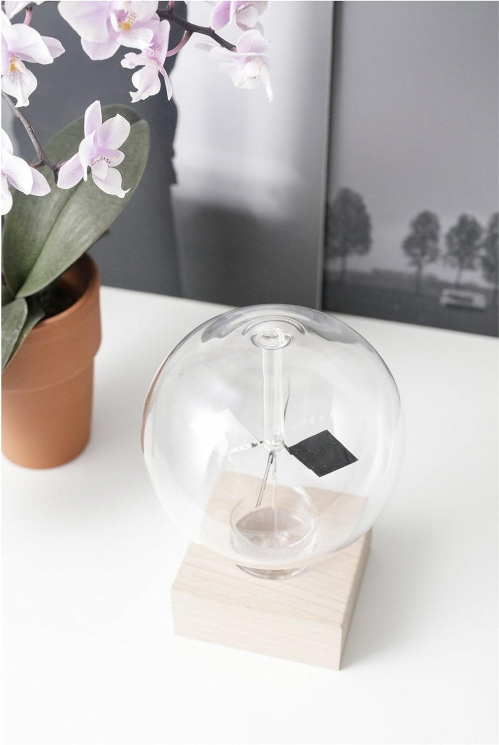 Kikkerland Solar Radiometer angled close-up near a plant