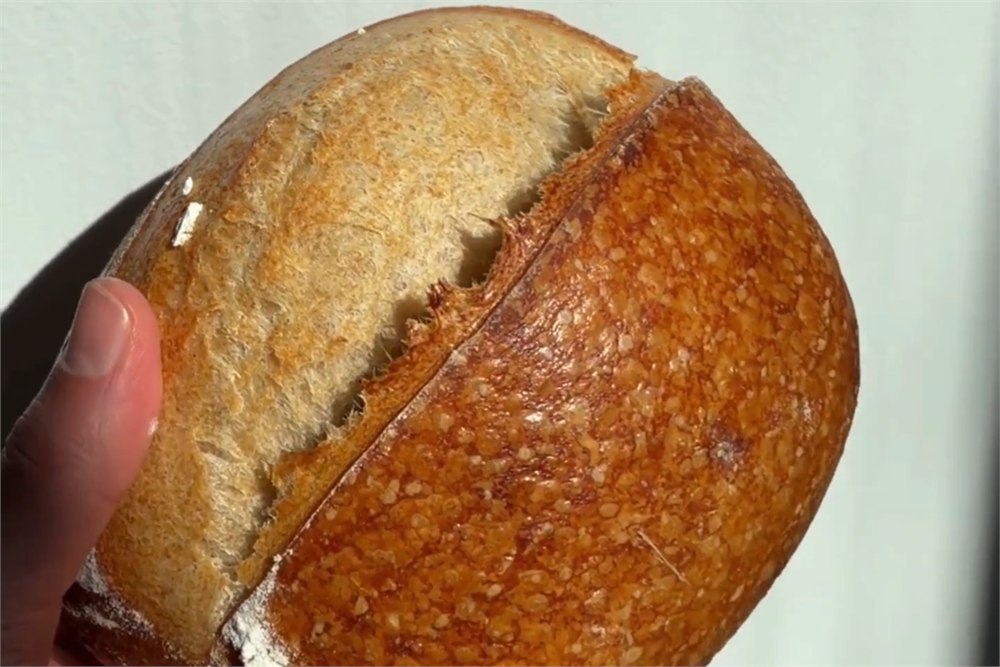 Bread baking with steam using the U Steam home oven system