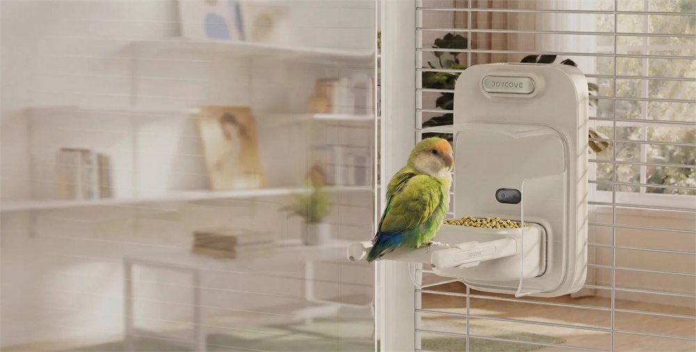 Small green bird on the PLUMORA feeding and weighing perch mounted to cage bars