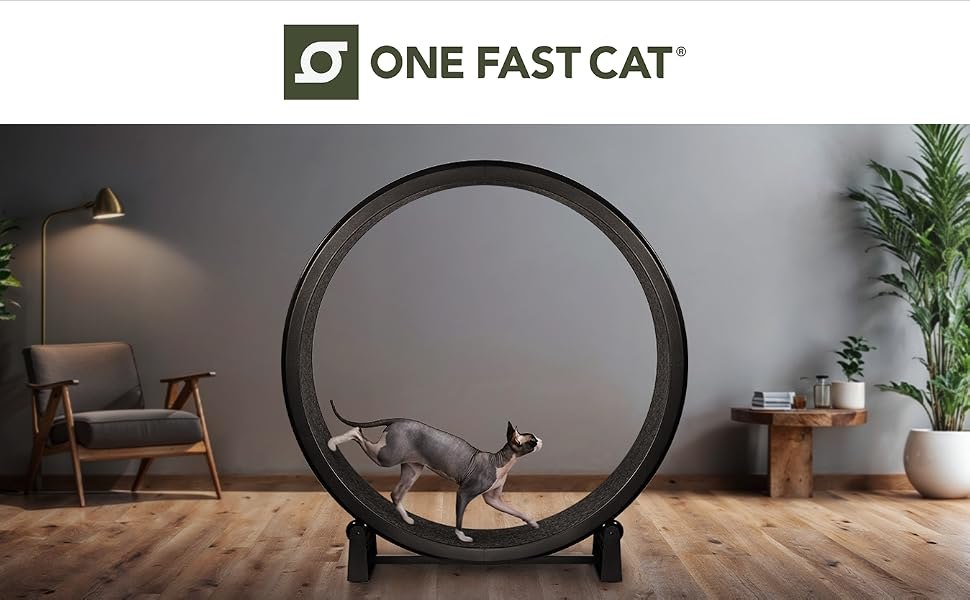 Manufacturer lifestyle photo of a cat using the exercise wheel in a living room