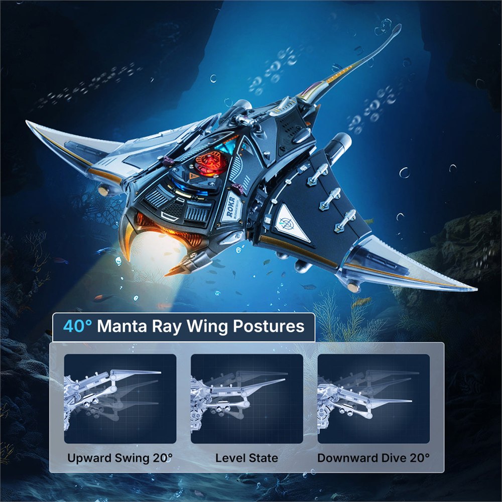 Official illustration of the manta ray fin swing positions