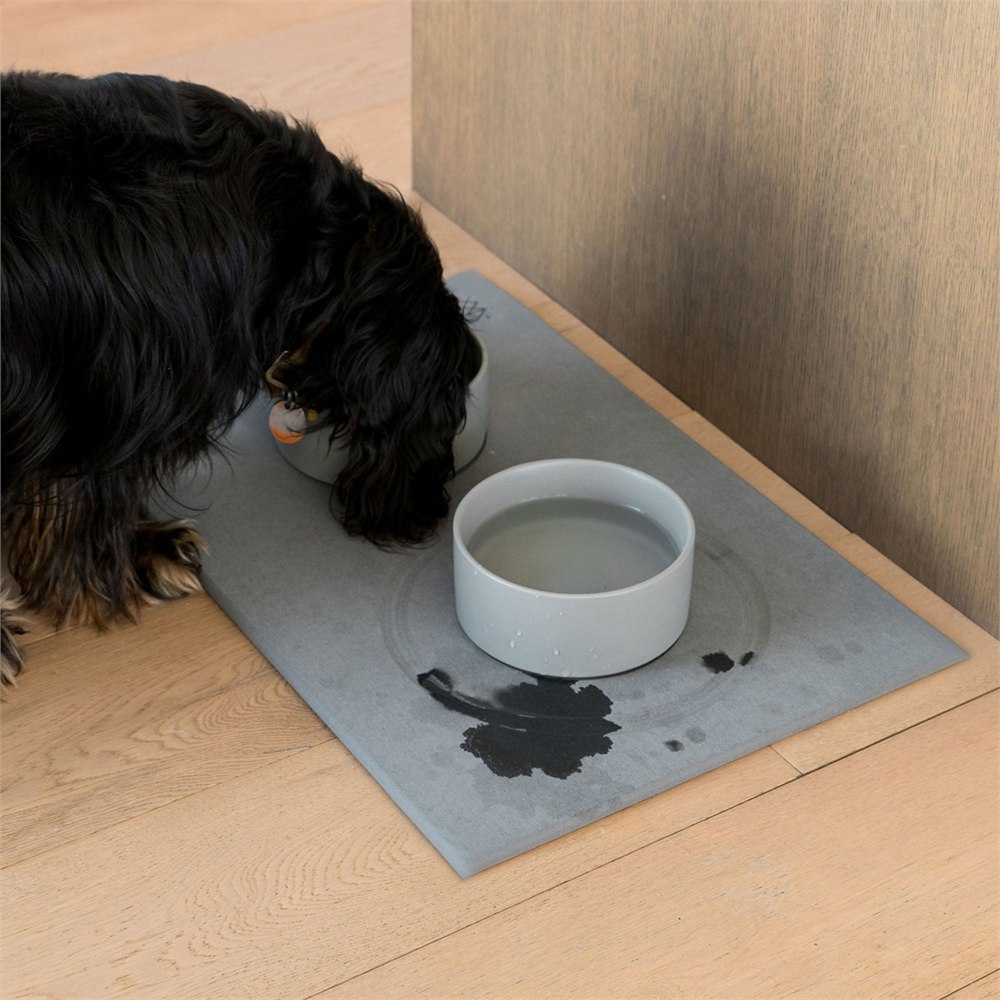 Dog eating beside water splashes on the absorbent stone mat
