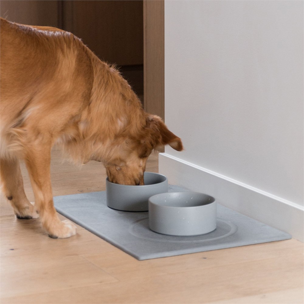 Dog using bowls on the slate gray stone feeding mat