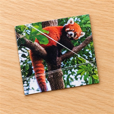 These Paper Folding Puzzles Turn Scattered Photos Into Complete Pictures