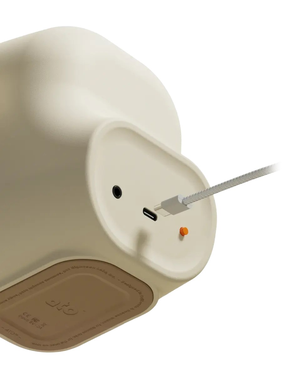 Rear connections on Ato including its USB-C power input