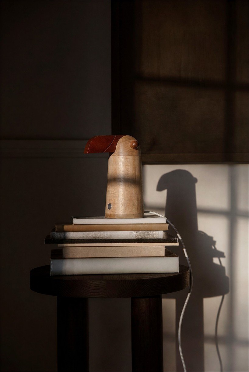 Wooden bird lamp displayed on books in a sunlit room