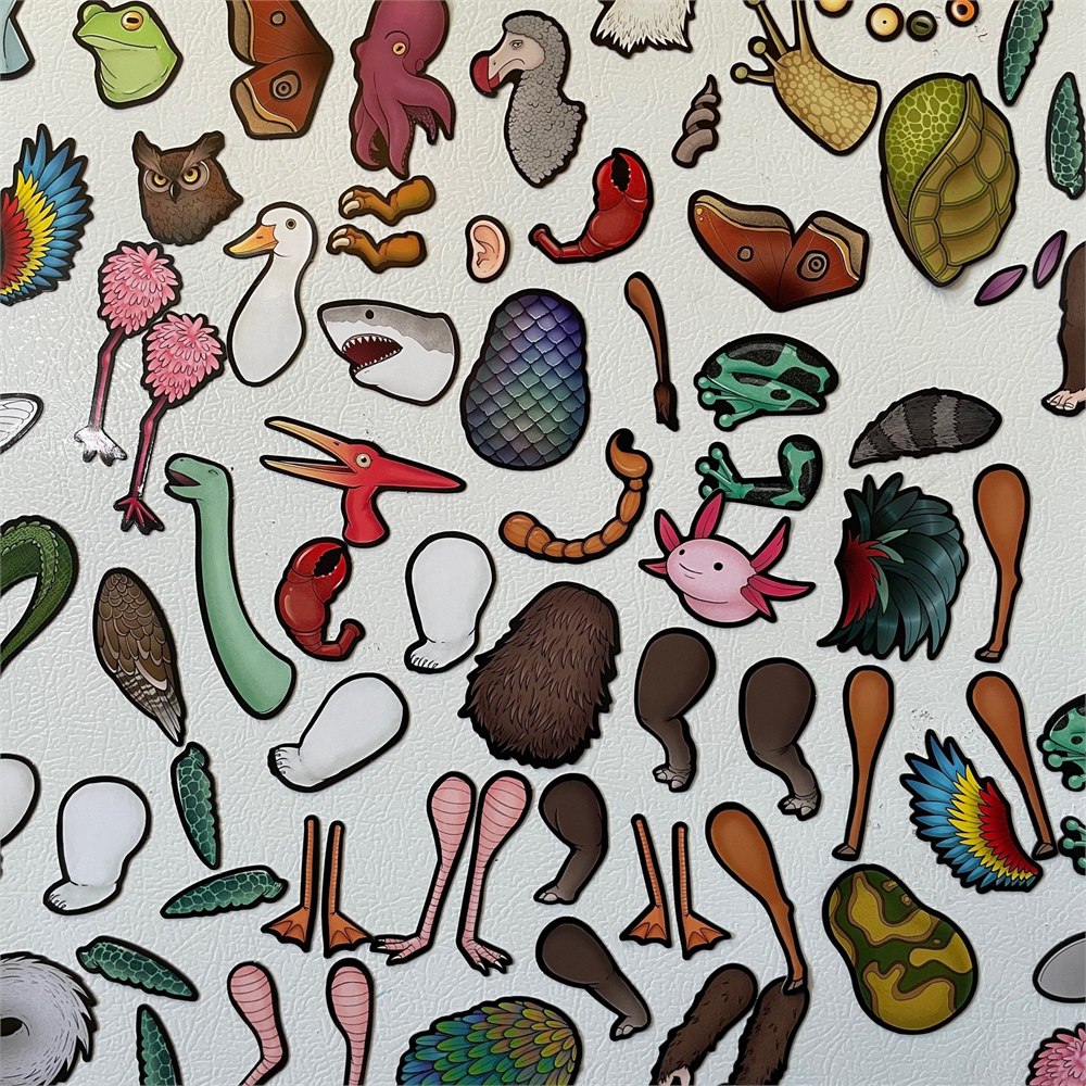 Assortment of illustrated magnetic animal parts