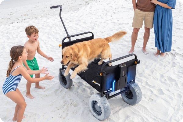 Dog entering through the opened wagon side