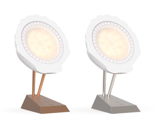 Rose-gold and matte-silver lamp finishes