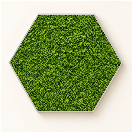 These Living Moss Wall Panels Snap Together Into a Glowing Indoor Garden