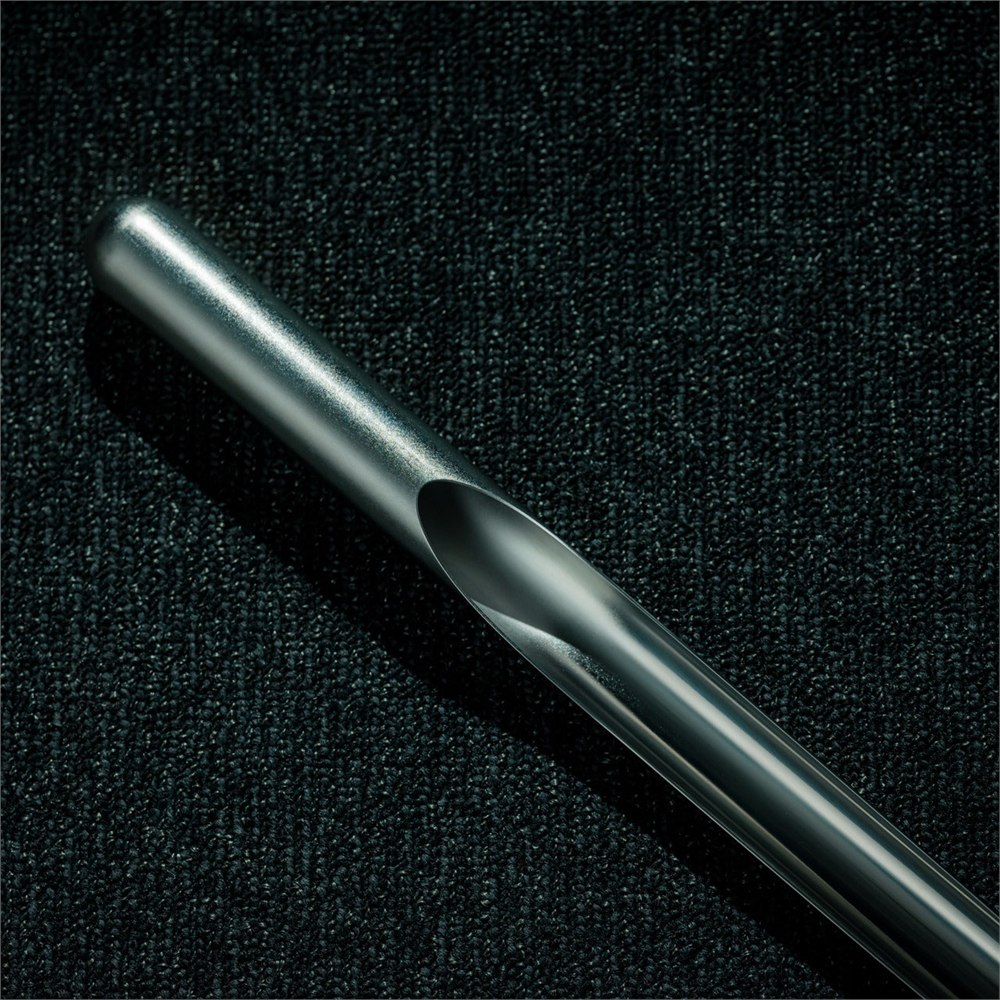 Rounded handle and curved polished surface of the shoehorn