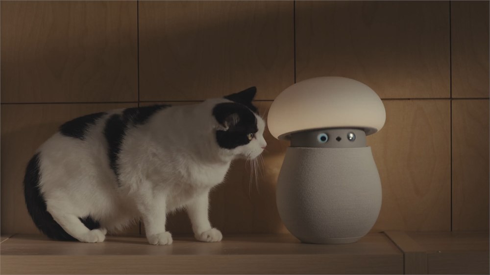 Mori companion robot beside a cat