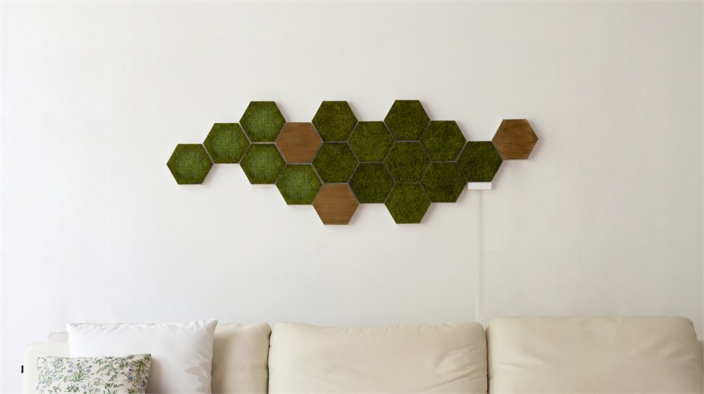Moss Hexa living moss, light and wood panels arranged above a sofa