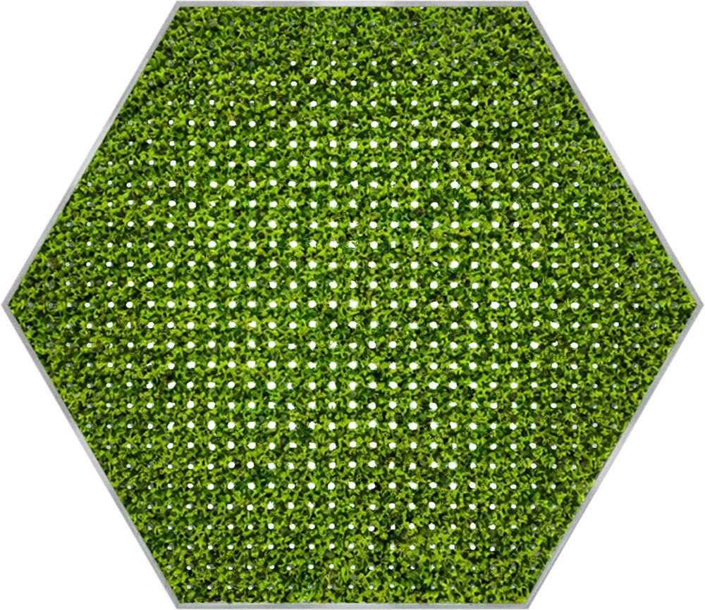 Light panel with small LEDs among the living moss