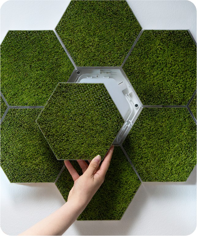 Moss Hexa panel removed to reveal its magnetic mounting guide