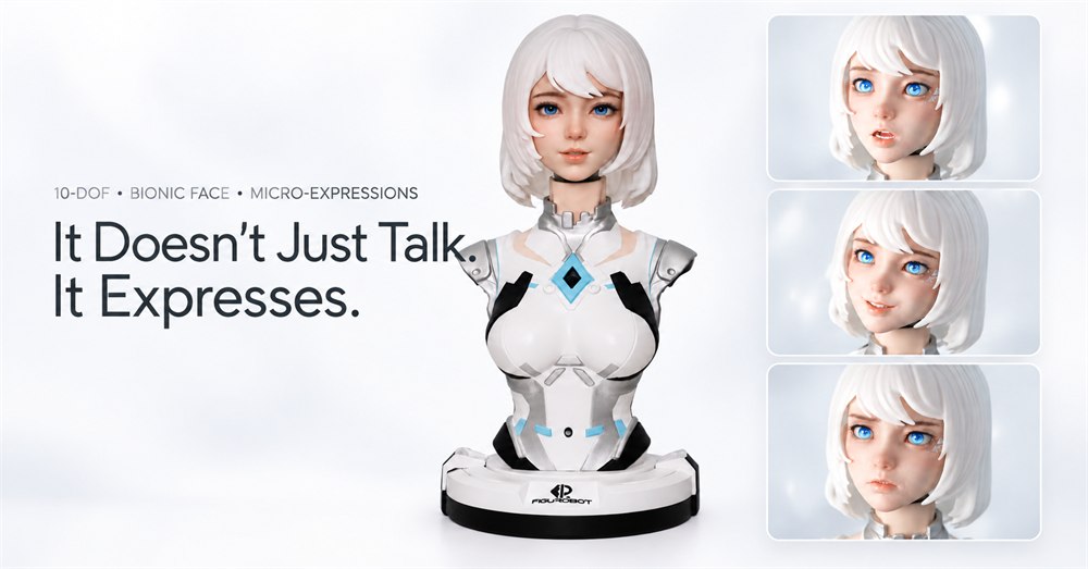 Manufacturer comparison of FR-NIA facial expressions