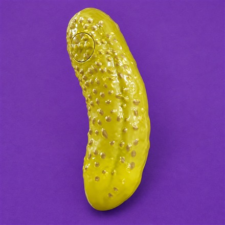 This Pickle Fortune Teller Answers Your Questions With 100 Responses