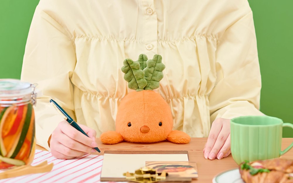 Carrot posture plush between a seated person and a writing desk